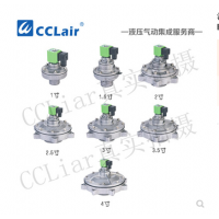 淹沒(méi)式脈沖閥DH-B-B25，DH-B-B40，DH-B-B50，DH-B-B62，DH-B-B76，DH-B-B89，